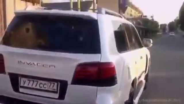 INVADER DUBAI смотреть онлайн