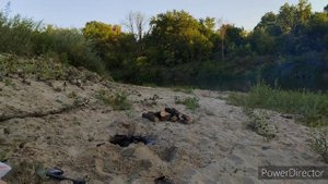 Отдых на природе...