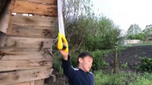 Что случилось с домом на дереве? Построил дом на дереве