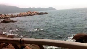 Сяомэйша (Xiaomeisha beach) 2.Shenzhen. Пляж в Шеньчжене