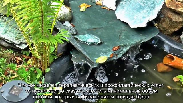 Почему бесплатная медицина в России — путь в никуда
