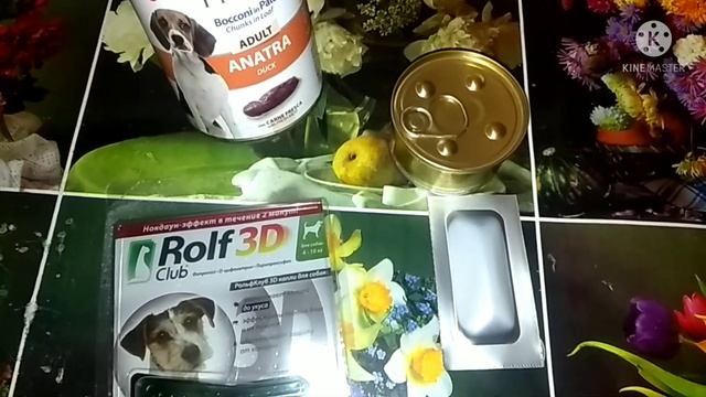 У беременной кошки блохи? Что делать? смотреть онлайн