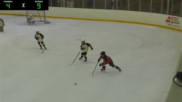 Гвоздика - Ястребы смотреть онлайн