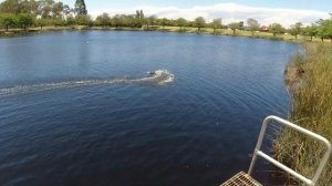 VOLANTEX Vector S | Awesome FUN Brushless Stunt Boat