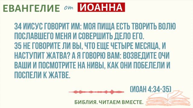 #12 ЕВАНГЕЛИЕ ОТ ИОАННА 4:31-42 /Библия.Читаем Вместе/Библия с Андреевыми/Вера/Бог/Библия Онлайн/