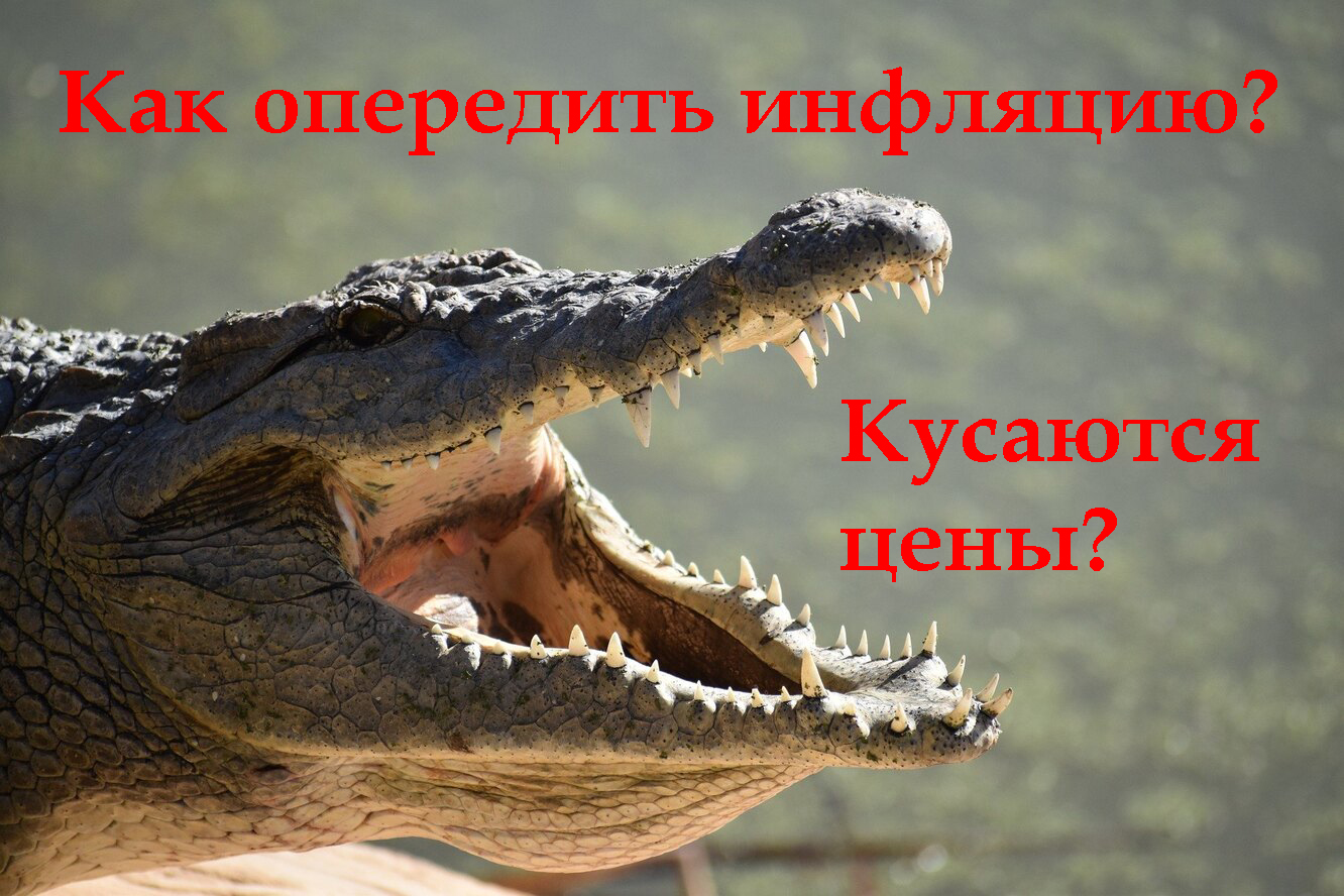 ?Кусаются цены? Как опередить инфляцию?