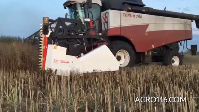 Запуск рапсовых столов Ziegler к комбайнам RSM