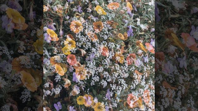 Автоспорт - Мы взрослеем позже, чем все (We grow up later than everyone else) смотреть онлайн