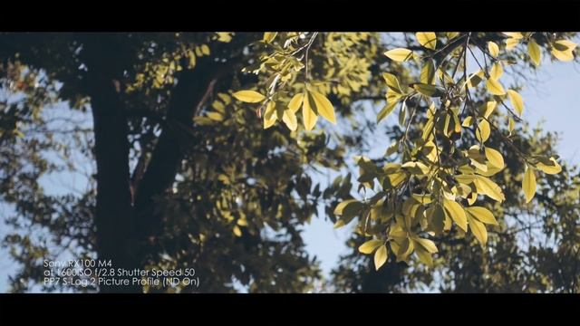 Sony RX100 IV M4 VS RX100 III M3 Video Test (Which one is better?) смотреть онлайн