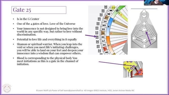 Human Design - Gate 25 смотреть онлайн