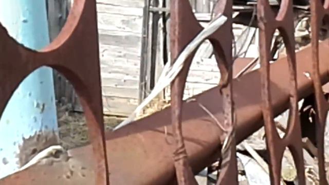 Чужой кот смотреть онлайн