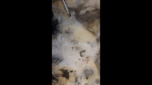 интерскол П26/800ЭР нет вращения и удара