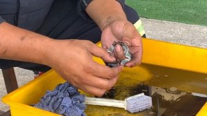 BMW R1200GS / GSA Starter Service | Carbon Brush Replacement