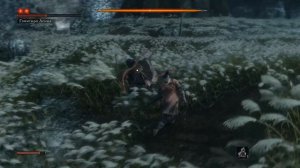 Что если победить Гэнитиро Асина в начале игры Sekiro: Shadows Die Twice
