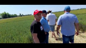 День поля Дьяченко В. В. 3 часть.