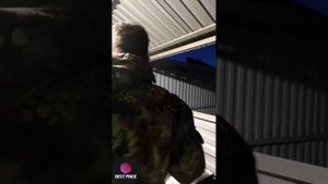 Готовим шашлык в Афганском казане