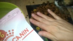 КОРМ РОЯЛ КАНИН ДЛЯ РОДИВШИХ КОШЕК ОТЗЫВ