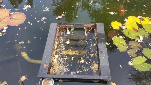 Плавающий скиммер для пруда. смотреть онлайн