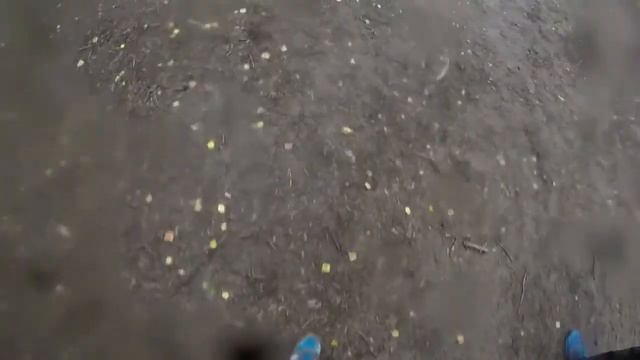 Сильные духом. Карелия 2017 смотреть онлайн