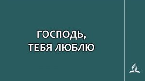 №194 Господь, Тебя люблю _ Караоке с голосом _ Гимны надежды