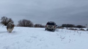 Покатушки на Jeep Grand Cherokee