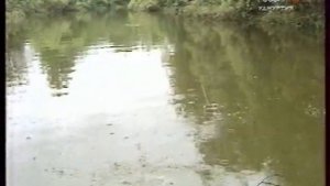 ЛОВЛЯ В ПРОВОДКУ НА НЕБОЛЬШИХ РЕЧКАХ.