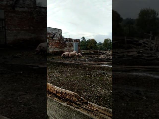 25 сентября 2022 г. смотреть онлайн