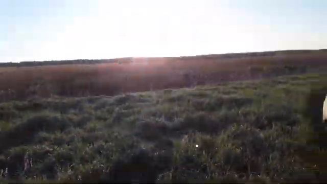 Итоги мая! Торфянник попытка N2 смотреть онлайн