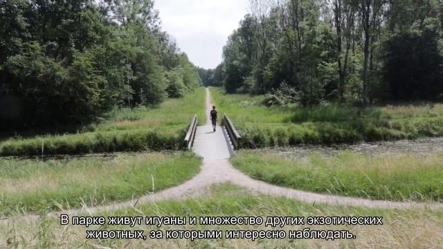 Баваро на карте Доминиканской республики: пляжи, достопримечательности