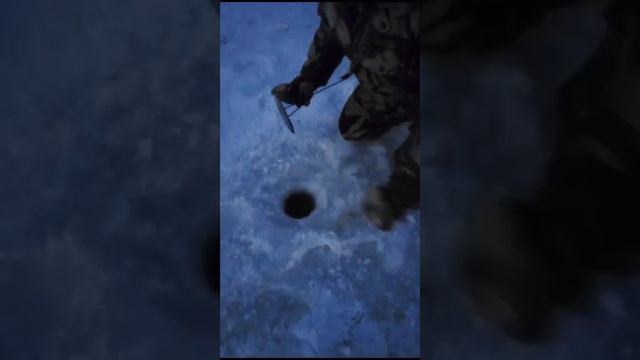 Рыбка на льду. РК " Три Пескаря" смотреть онлайн