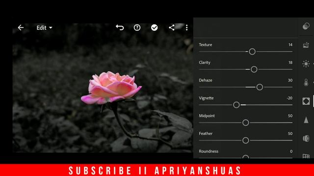 how to edit dark photos in lightroom  Moody Flower Photo Photo Editing @nsbpictures