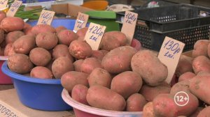 Биробиджанцы отмечают снижение розничных цен на овощи, произведенные в ЕАО