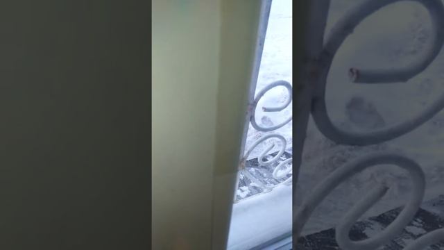 Как избавиться от запотевания окон. смотреть онлайн