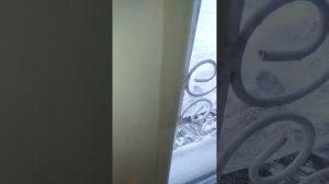 Как избавиться от запотевания окон.