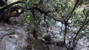 Пеший поход по каньону Кёпрюлю в Турции вверх по течению от моста Олук