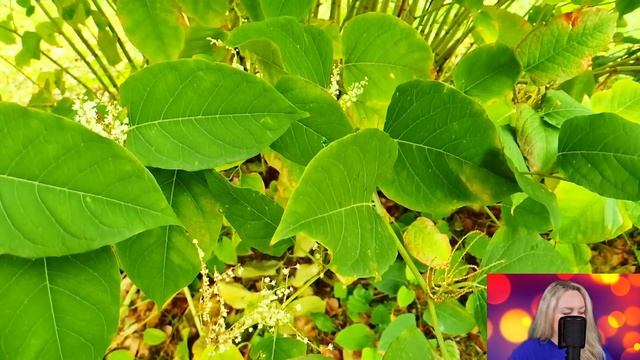 Сделай экспертизу ДНК - Андрей оцепенел, увидев сообщение на телефоне. Такого сюрприза он не ждал.. смотреть онлайн