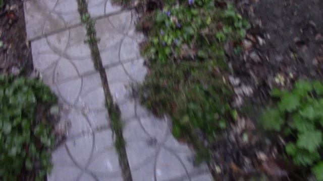 конец декабря.mp4 смотреть онлайн