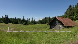 Шамиль Халадзиев - Медляк 2024