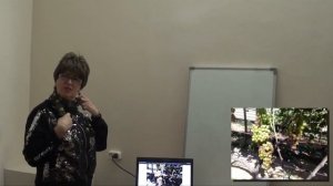 Мастер-класс "Обзор сортов винограда. Формировка винограда".