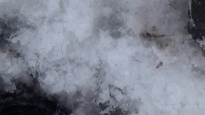 Рыбалка на Гусином озере.