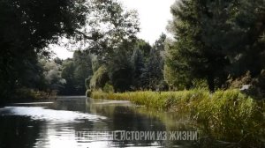 ХОТЕЛА ПО-БЫСТРОМУ НО ПЕРЕСТАРАЛАСЬ. Жизненные истории и аудио рассказы слушать онлайн