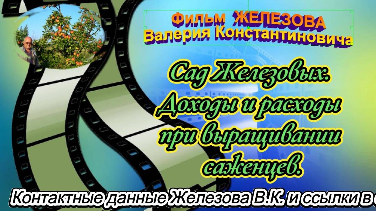 Сад Железовых. Доходы и расходы при выращивании саженцев.