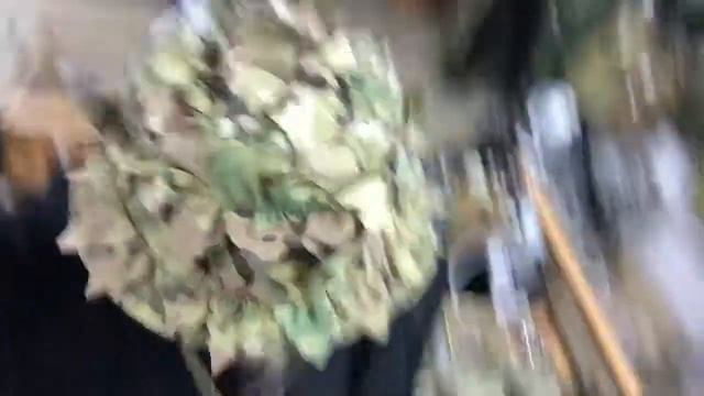 Маскировочная Панама Stich Profi обзор смотреть онлайн