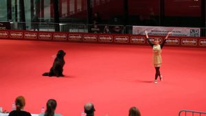 ЧЕ 2014 Фристайл финал Новоселова Марина и Миха 3 место