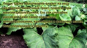 Сок лопуха как бабушкин рецепт поможет избавиться от кисты навсегда