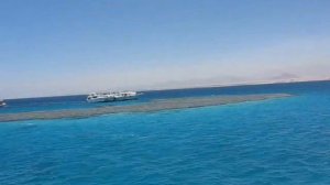 Египет, Красное море