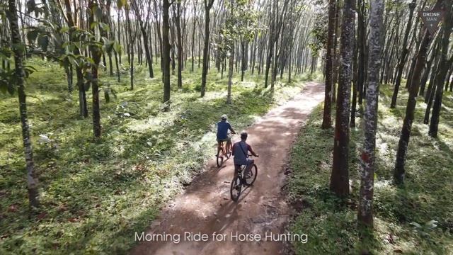 Morning Ride for Horse Hunting смотреть онлайн