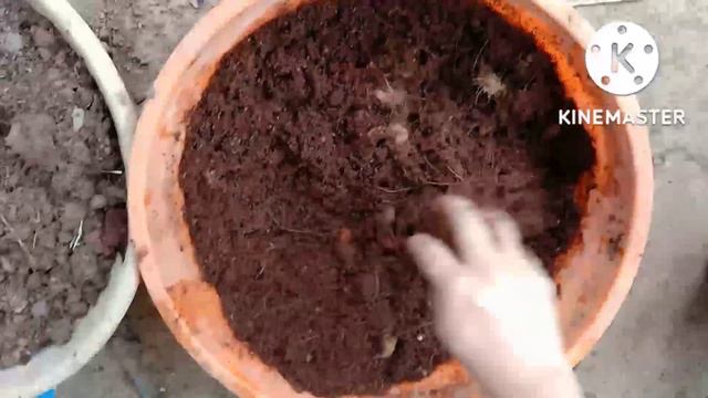 ഉള്ളത് കൊണ്ട് ഓണം പോലെ🤗| ലക്ഷ്യത്തിലെത്താൻ ആരെയും പേടിക്കണ്ട смотреть онлайн