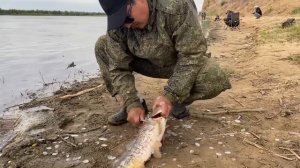 ЦАГАН-АМАН | РЫБАЛКА | САЗАН