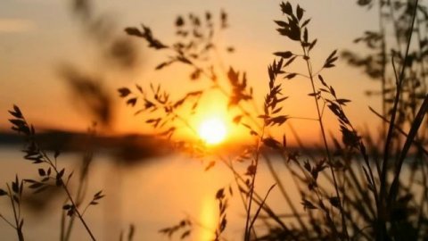 Молчание приоткрывает реальность